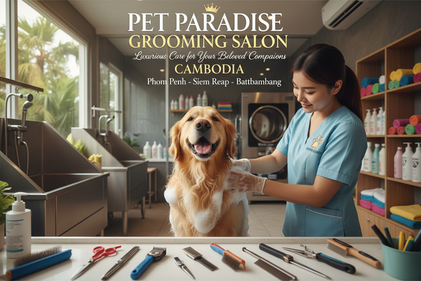 Pet Groomers សេវាកម្មកែសម្ផស្សសត្វចិញ្ចឹម