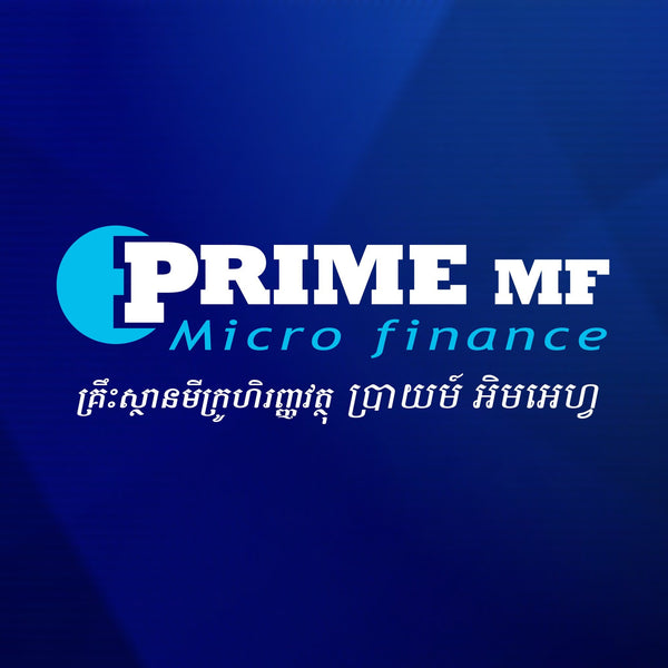 Prime MF Micro Finance Institution Ltd.