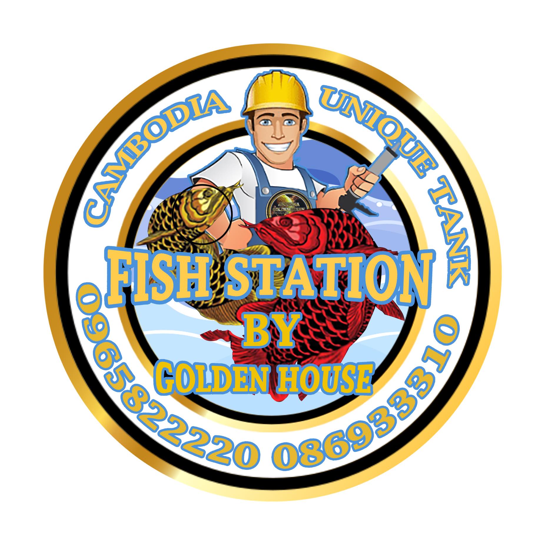 FISH Station BY GoldenHouse
