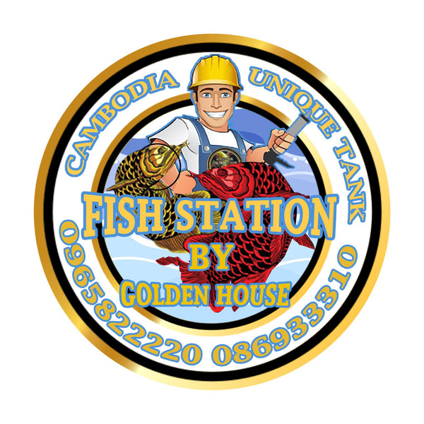 FISH Station BY GoldenHouse