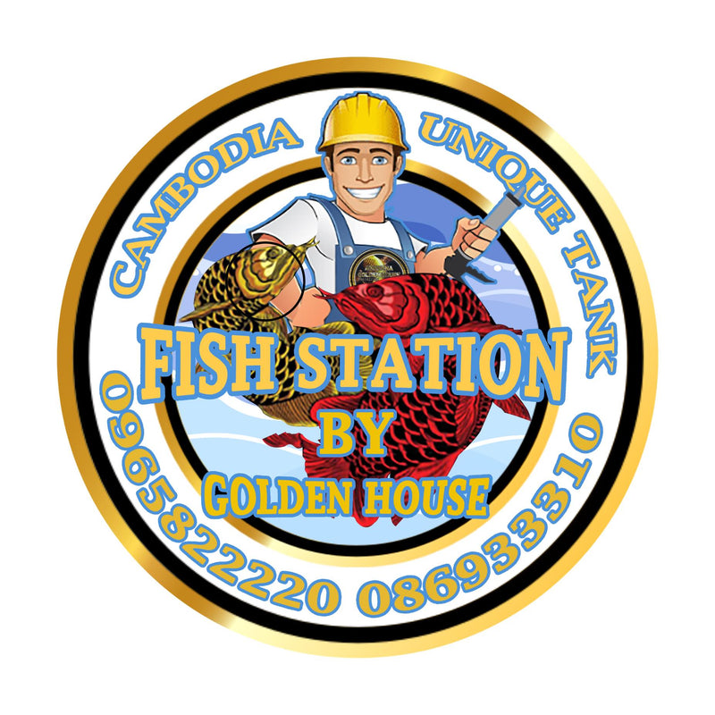 FISH Station BY GoldenHouse