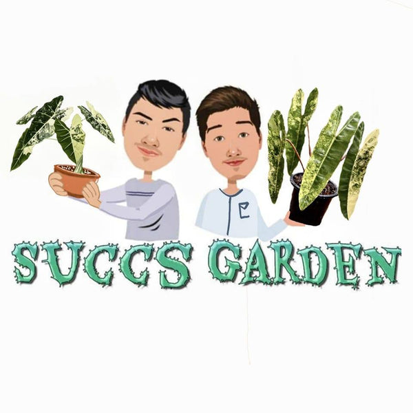 Succs Garden