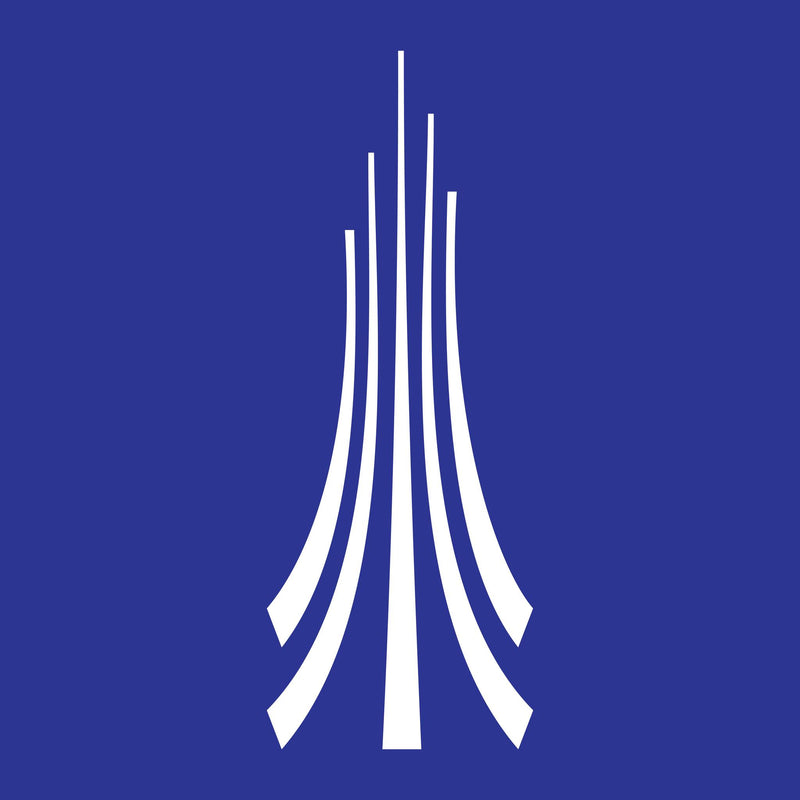 Paragon International University