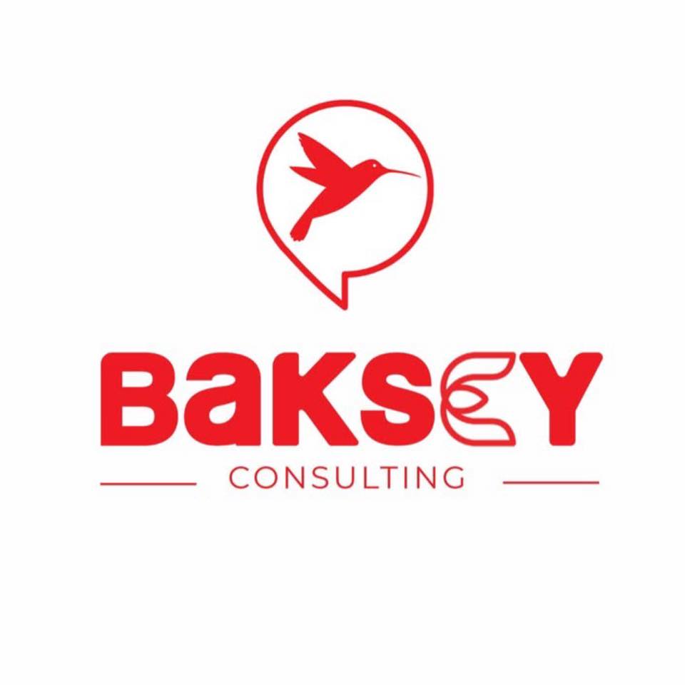 Baksey Consulting