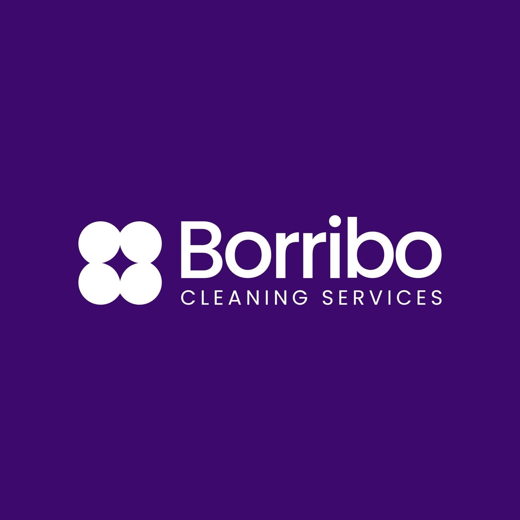 Borribo Cleaning Services