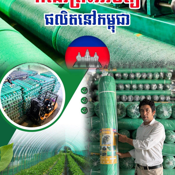សិប្បកម្មផលិតស្បៃពន្លឺព្រះអាទិត្យ
