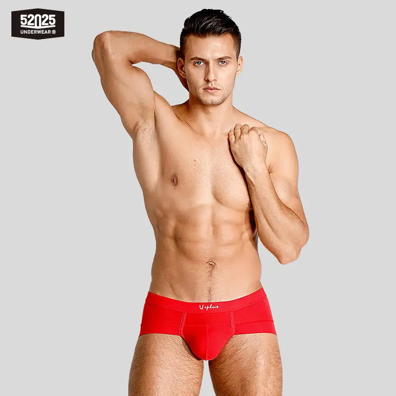 52025 Men's Premium Modal Briefs – Ultra-Soft Fabric, Anatomical Support Pouch, Natural Fit and All-Day Comfort