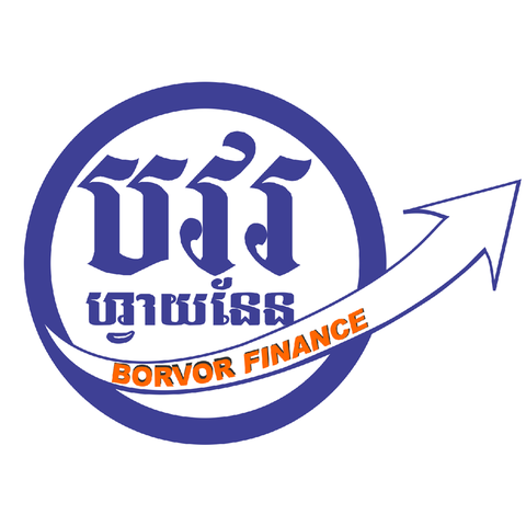 BORVOR FINANCE PLC.