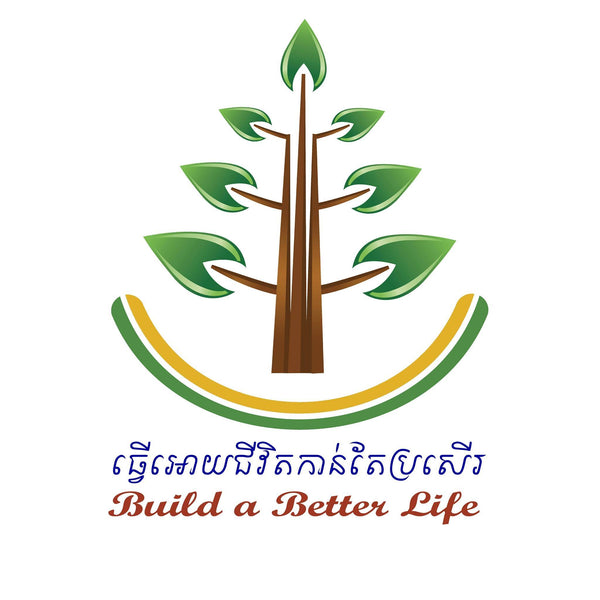 Borribo Microfinance Institution PLC.