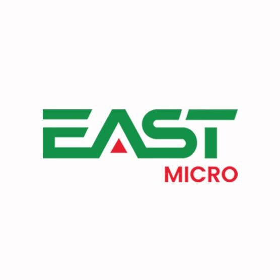 EAST MICRO PLC.