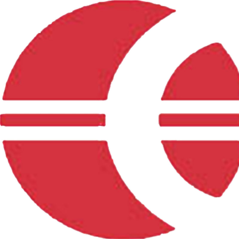 ECOVIS VSDK & Partner Co., Ltd.