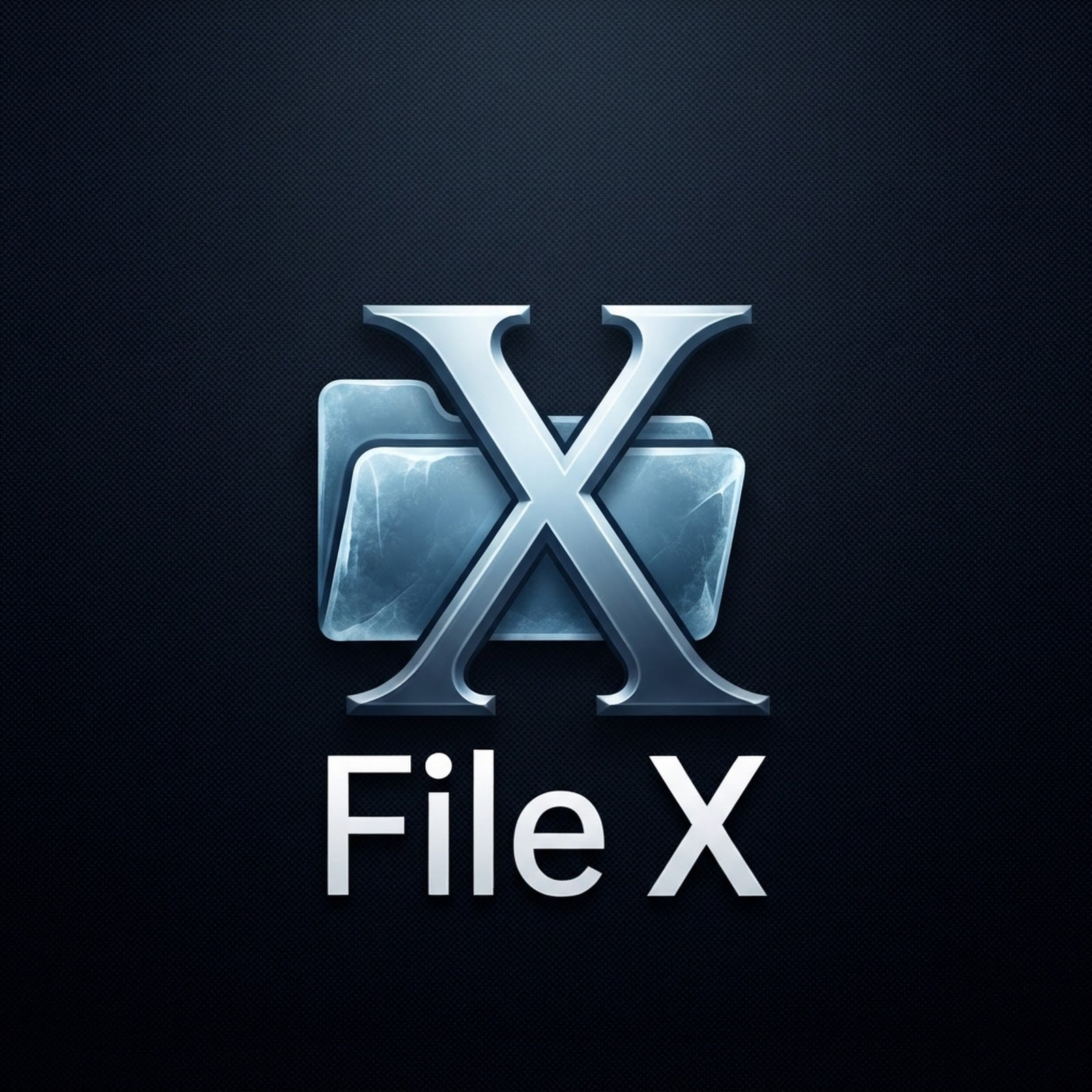 FILE X
