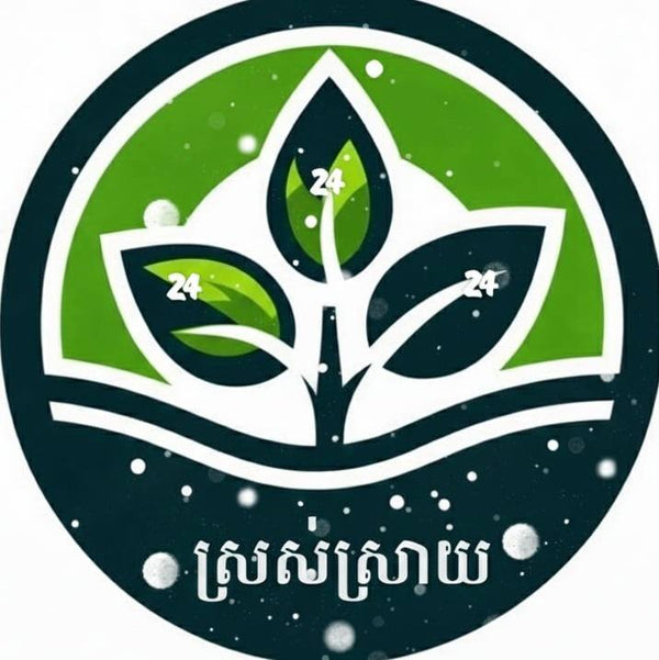 Circular logo with green leaves and '24' text on a dark background