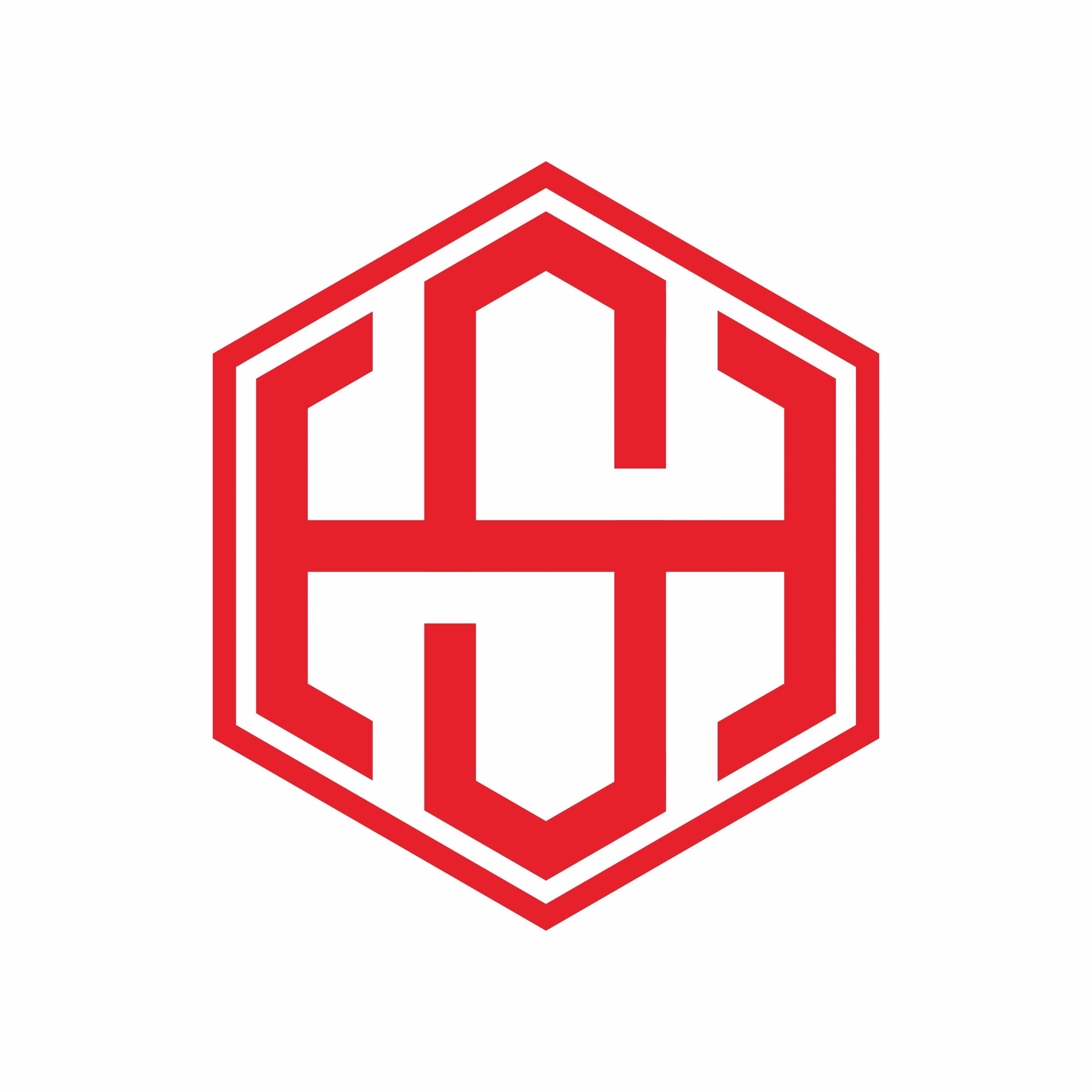 Hansong Official Store