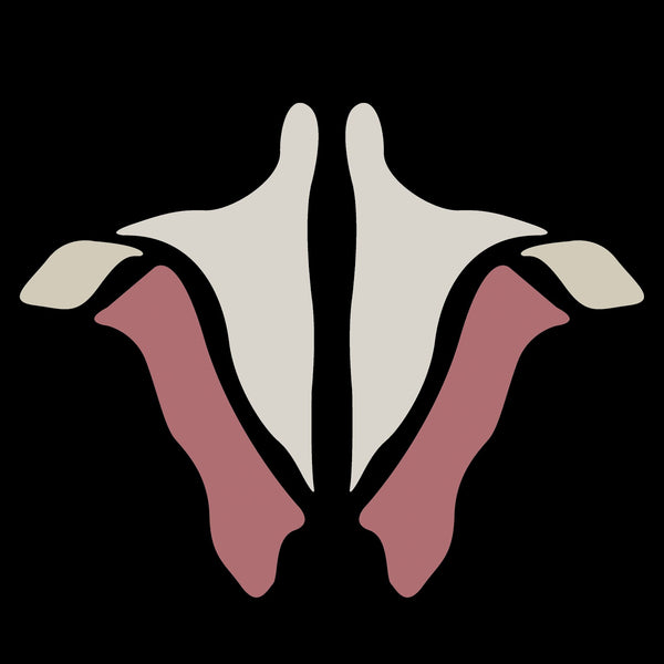 Decorative design with white and pink elements on a black background