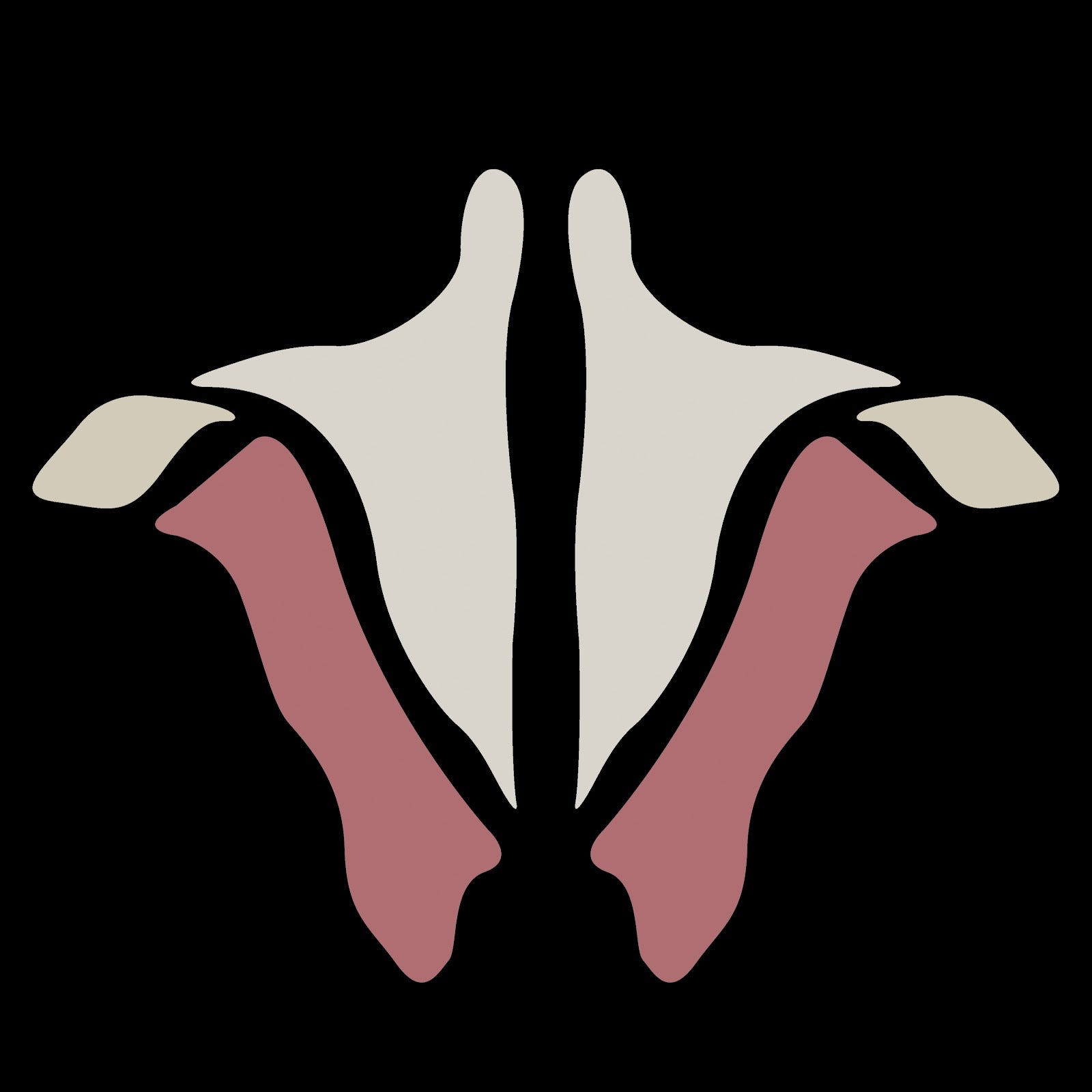 Decorative design with white and pink elements on a black background