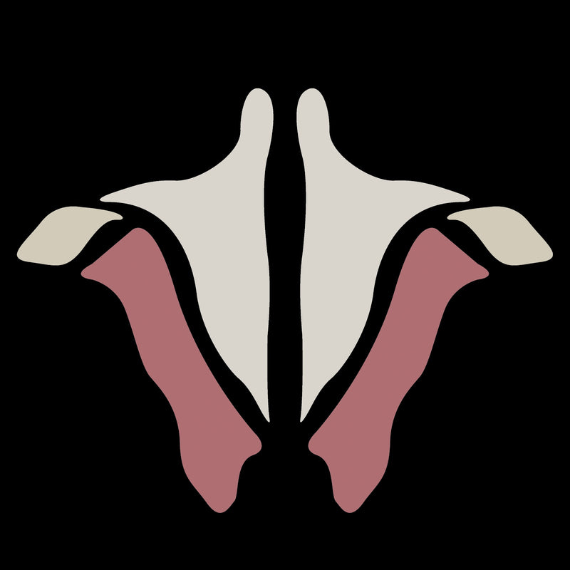 Decorative design with white and pink elements on a black background