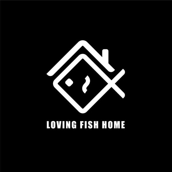 Loving Fish Home