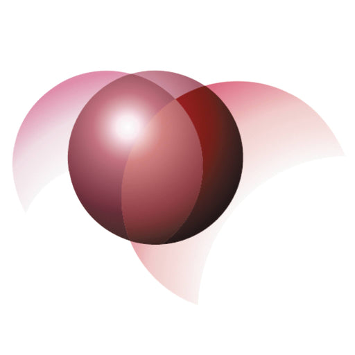 Mothers Financial Japan Plc.