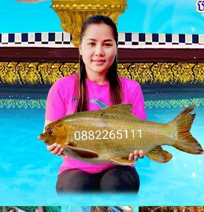 Woman holding a large fish with a blue background