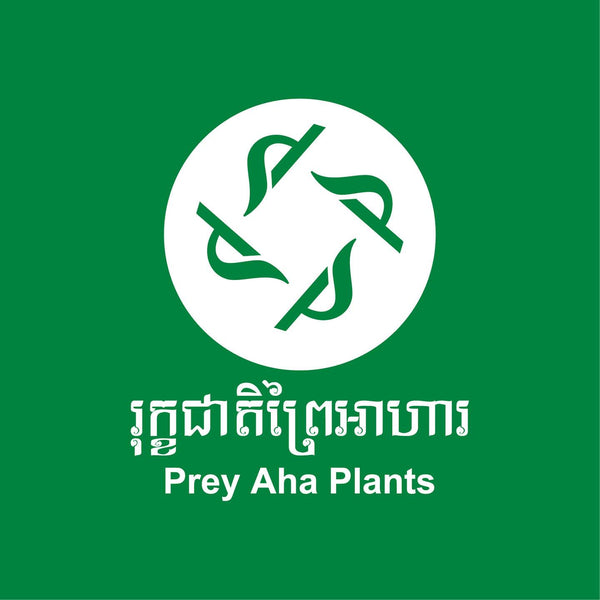 Logo of Prey Aha Plants with green and white colors on a green background