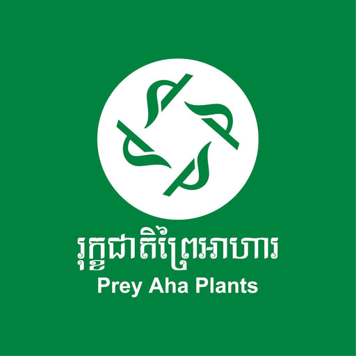 Logo of Prey Aha Plants with green and white colors on a green background
