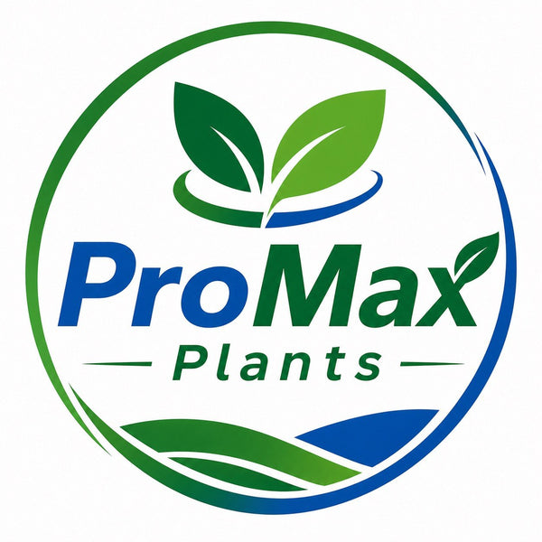 ProMax Plants logo with green and blue leaves on a white background