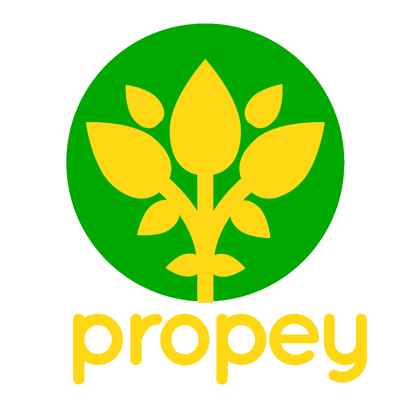 Propey Microfinance Plc.