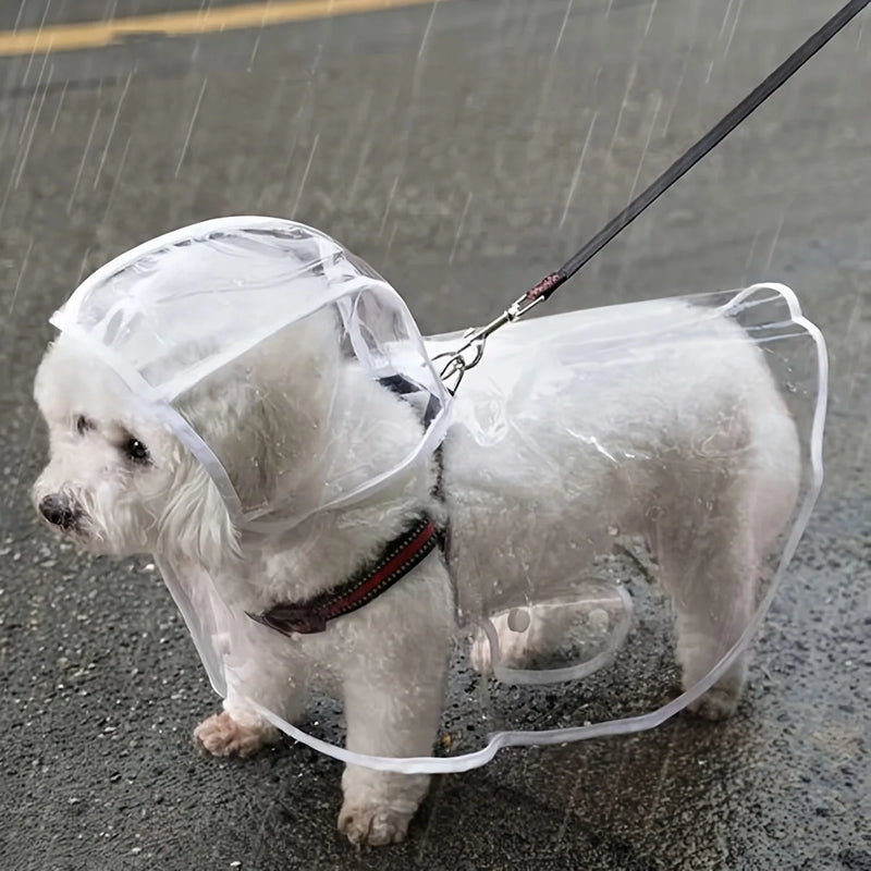 Transparent Dog Raincoat Button-Up  Ideal for Teddy & Bichon Frise, Rainy Day Walking Gear, Dog Raincoat | Transparent Raincoat