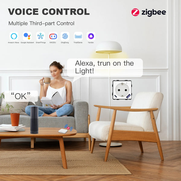 រន្ធដោតឆ្លាតវៃ BSEED Zigbee ផ្នែកត្រួតពិនិត្យថាមពលរន្ធដោតជាមួយ USB Type-C គ្រឿងបន្លាស់ DIY 20W សាកថ្មលឿន Tuya Smart Life Alexa App Control