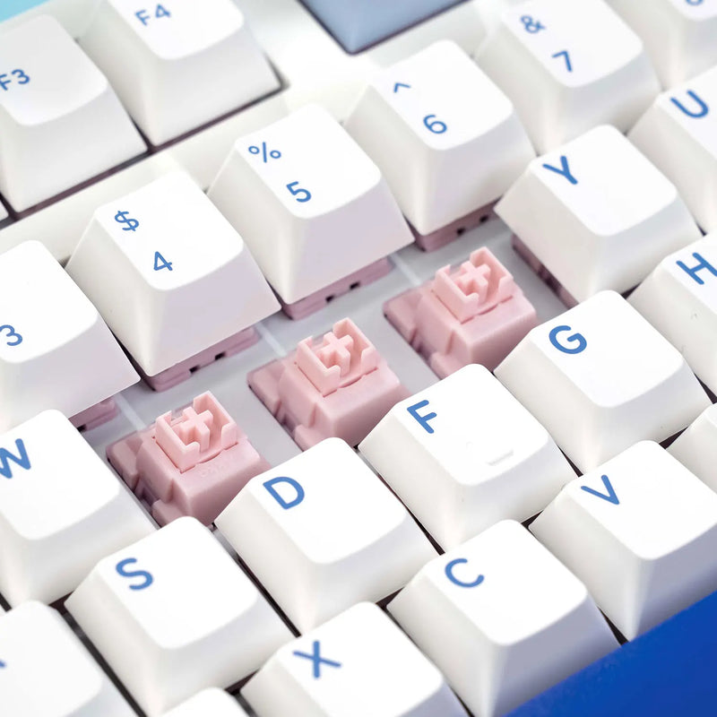 Akko 3108RF Mechanical Keyboard 100% Full Size RGB Cherry/MOA Profile Keycaps 2.4GHz & Wired Dual-mode Keyboard for Office Game