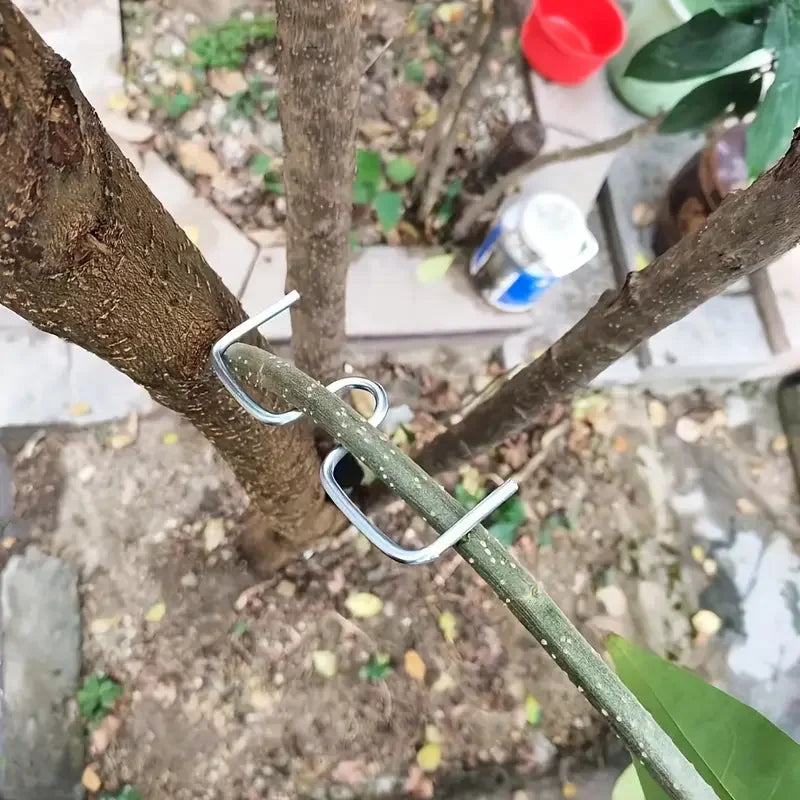 10pcs Heavy Duty Branch Benders - Metal Fruit Tree Training Set for Shaping & Pruning (No Tools Needed)