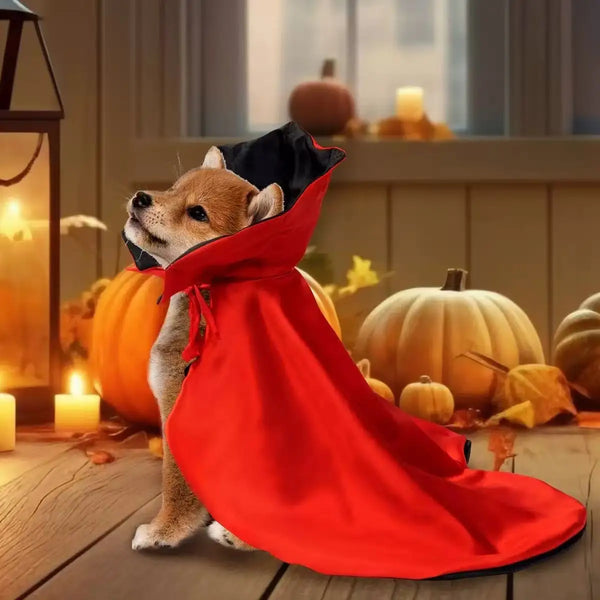 Spooky Vampire Halloween Costume for Cats - Couture Cloak & Hat Set, Perfect for Pet Party & Festival Clothes