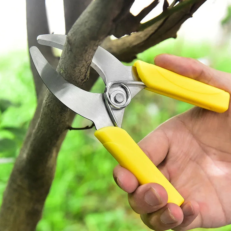 Stainless Steel Fruit Tree Pruning Shears Branch Cutting Bark Ring Peeling Gardening Scissors for Home Garden