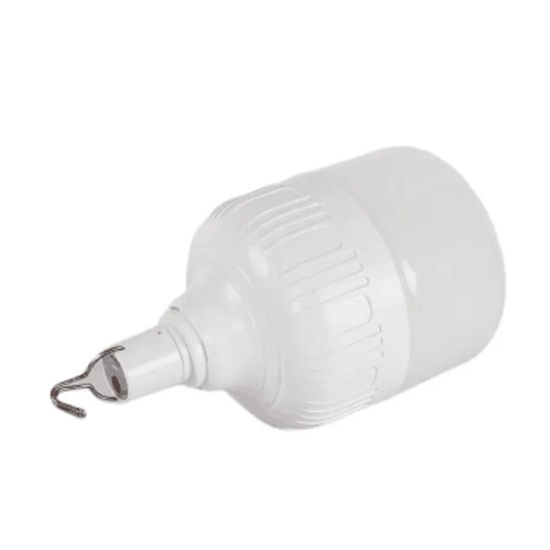 ចង្កៀងតង់ LED ចល័ត JOYINLED 20W/30W/60W/80W, ចង្កៀងបោះតង់ដែលអាចសាកបាន, ភ្លើងសង្គ្រោះបន្ទាន់ក្រៅផ្ទះ USB សម្រាប់ BBQ Patio Garden