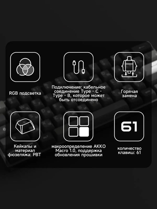 Akko 3061S Black&Silver Wired Mechanical Gaming Keyboard RGB Backlit Russian ASA Profile PBT Double Shot Keycaps