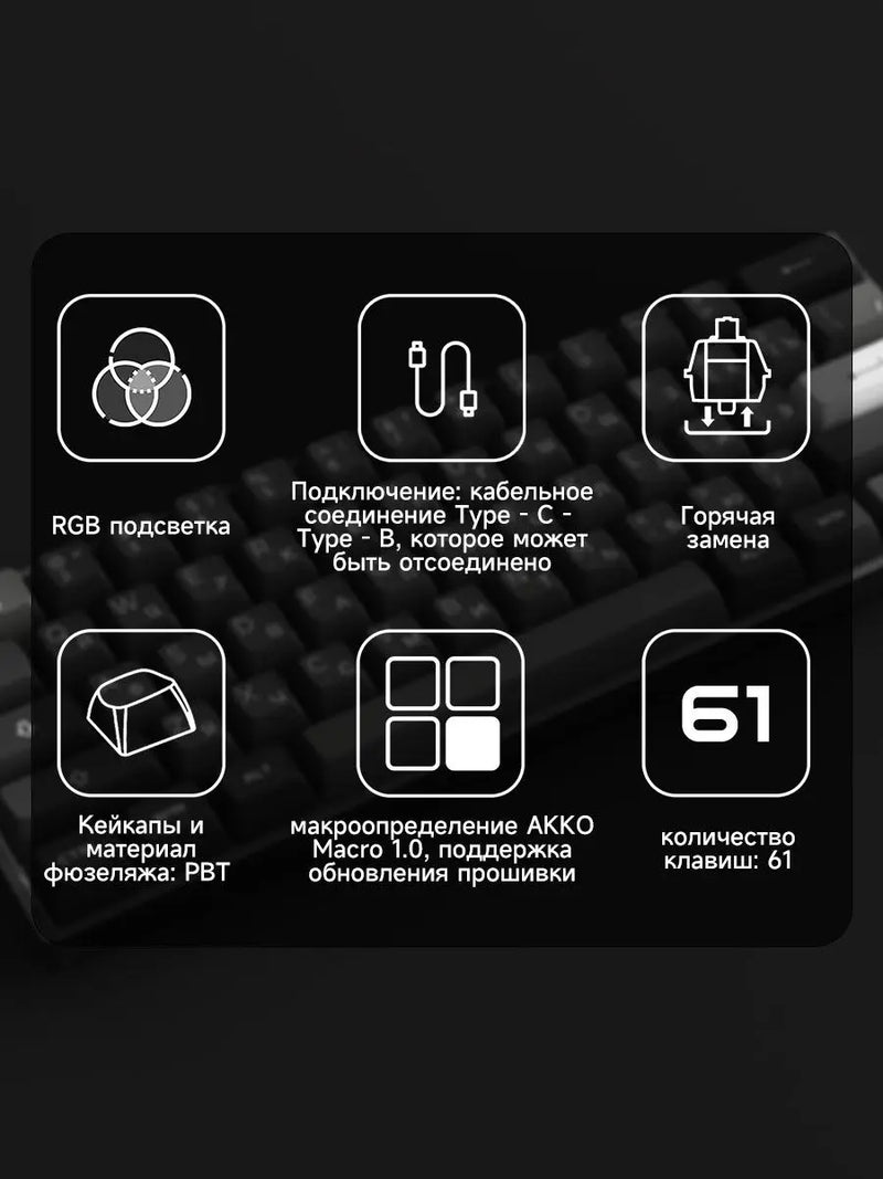 Akko 3061S Black&Silver Wired Mechanical Gaming Keyboard RGB Backlit Russian ASA Profile PBT Double Shot Keycaps