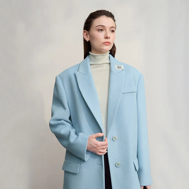 AMII Women's Jacket 2026 Winter New Commuter Versatile Turn-Down Collar Jacket Women's Loose Long Sleeves Tops Lady 12544046