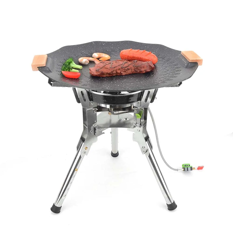Outdoor Gas Stove Bulin BRS69A Camping Picnic Gas Stove 6800W Team Party Family Camp Gas Burner For Hiking Fishing