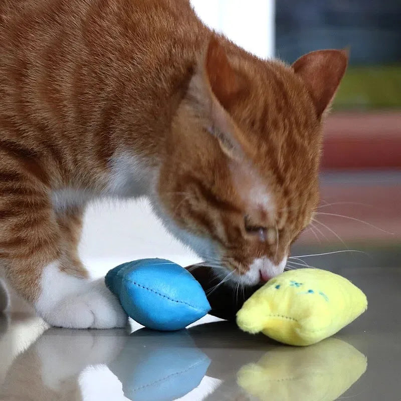 1pcCat Design Cat Teaser Toy Containing Squeaky Plush Pillow Toy Interactive Pet Supply Pet plush toys，Multiple colors available