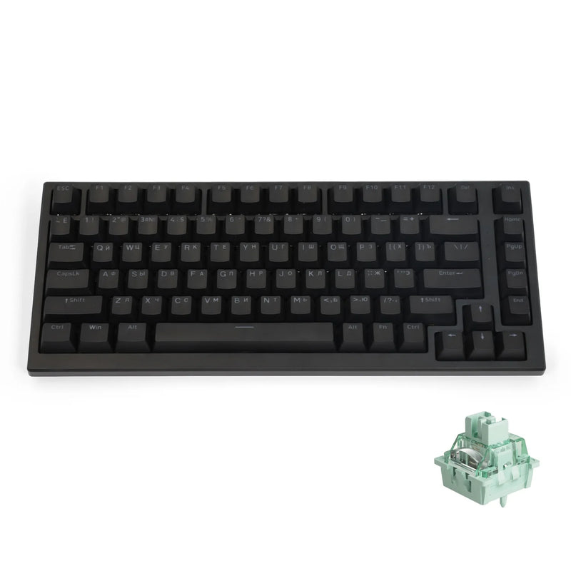 Akko TAC75 HE Magnetic Switch Keyboard 75% Russian Layout Rapid Trigger 0.005mm ARGB 8K Polling Rate Wired Gamer Custom Keyboard