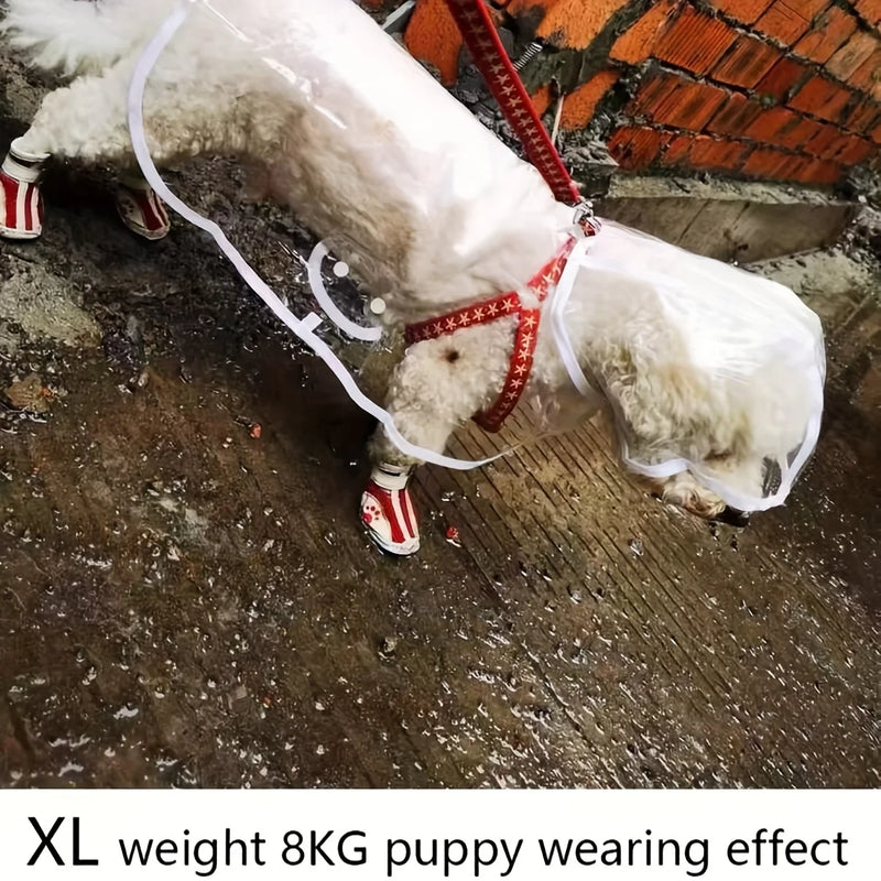 Transparent Dog Raincoat Button-Up  Ideal for Teddy & Bichon Frise, Rainy Day Walking Gear, Dog Raincoat | Transparent Raincoat