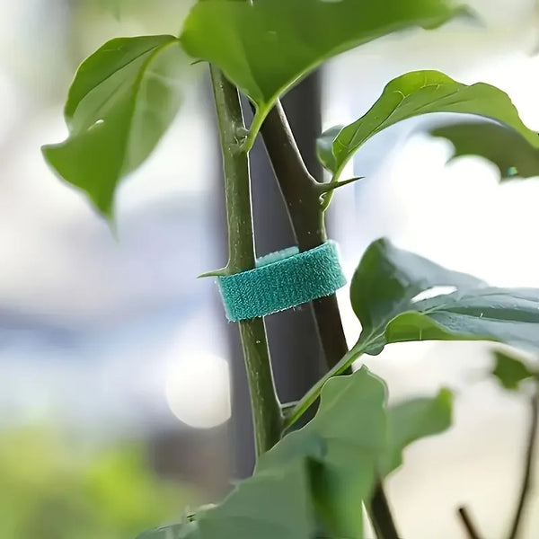 3pcs Self-adhesive Plant Nylon Cable Tie, Cable Tie, Support Garden Twine Bandage， Multi-Functional, Secure. Gardening Tasks