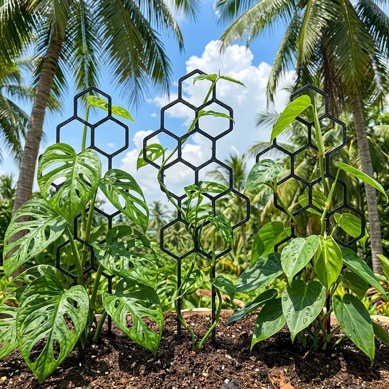 5PCS Plant Support Climbing Frame Trellis Adjustable Plant Stake Rack for Vegetable Tomato Vine Flower Garden Decor
