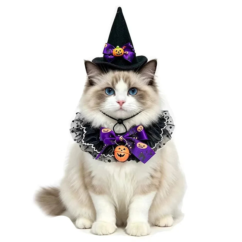 2026 New Pet Saliva Towel Hat Combination Halloween Decorative Cat Bib Dog Lace Scarf