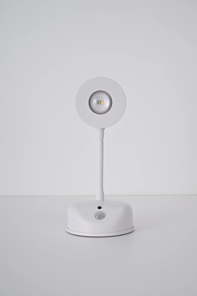 ចង្កៀងជញ្ជាំង LED ក្នុងផ្ទះឆ្លាតវៃដែលអាចសាកបាន ពន្លឺភ្លើងពិល LED ពីចម្ងាយឥតខ្សែ ភ្លើងរូបភាព RGB សមរម្យសម្រាប់បន្ទប់សិក្សា