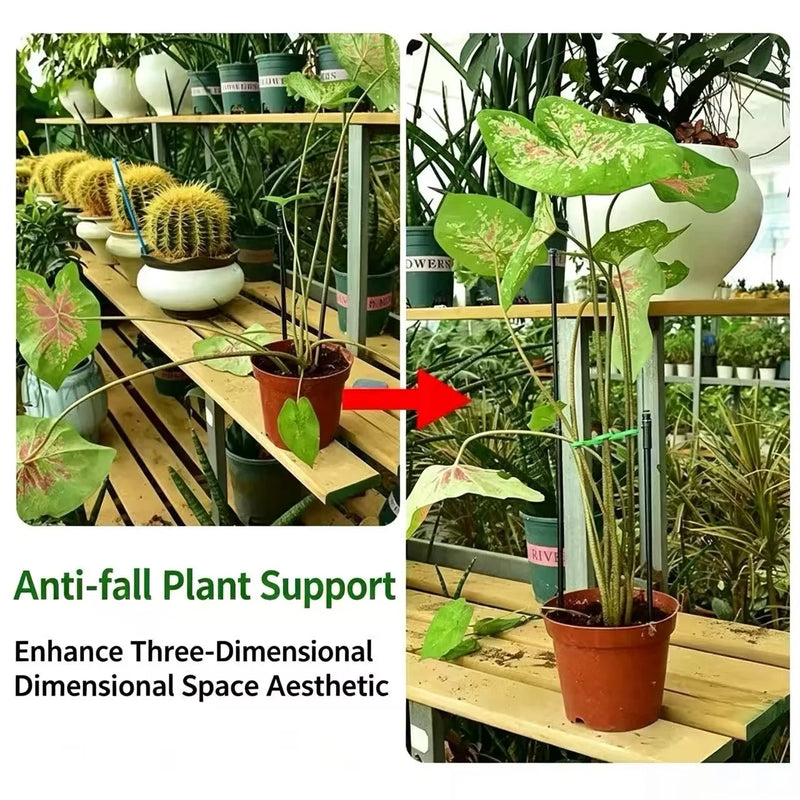 Plant Stem Support 4pce - Plant Fixing Clip, Plant Climbing Support Frame, Flower Stem Retaining Frame