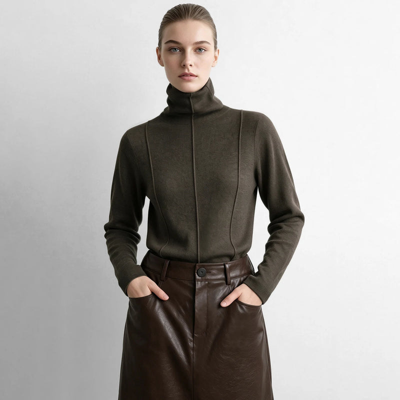 Amii Knitted Women's Sweater Turtleneck Slim Fit Long Sleeve Casual Pullover 2026 Autumn New Versatile Chic Top Women 12623113