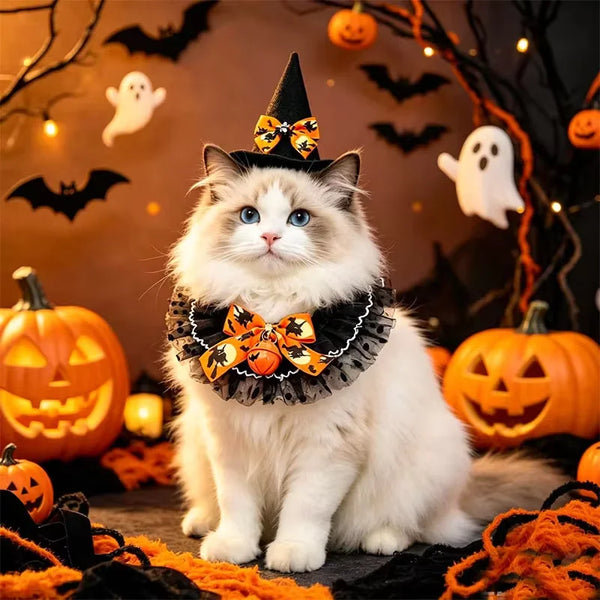 2026 New Pet Saliva Towel Hat Combination Halloween Decorative Cat Bib Dog Lace Scarf