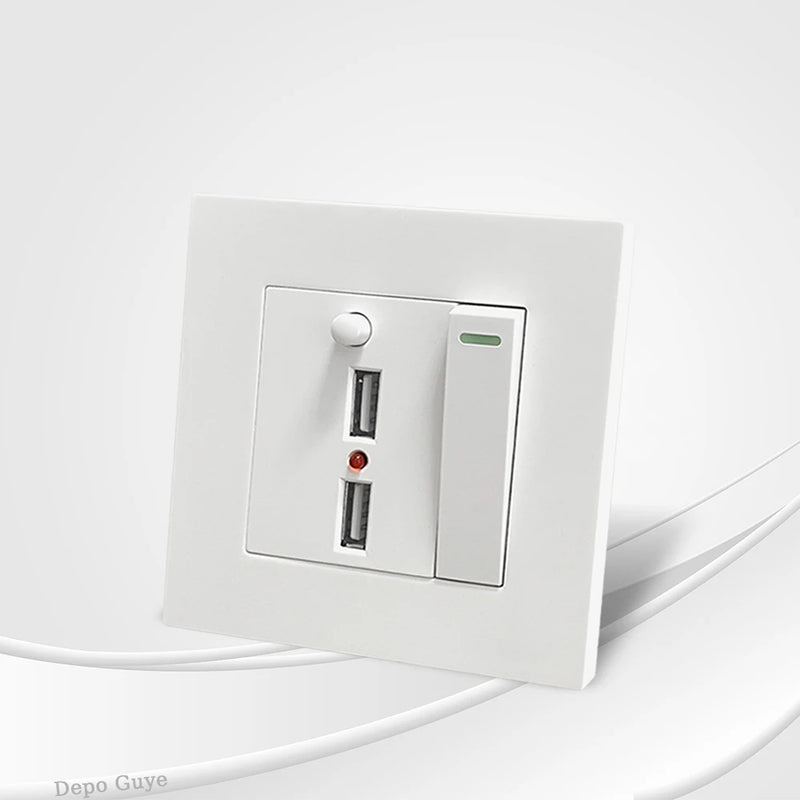 1 gang 2 way with 2 ports USB charging socket, with LED light, AC110-250V, light switch with international universal USB socket